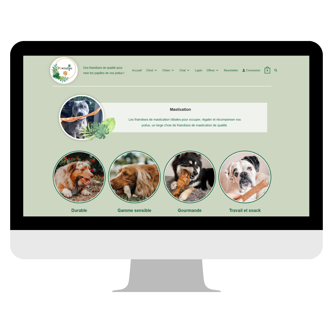 Capture d'écran projet Pawradise